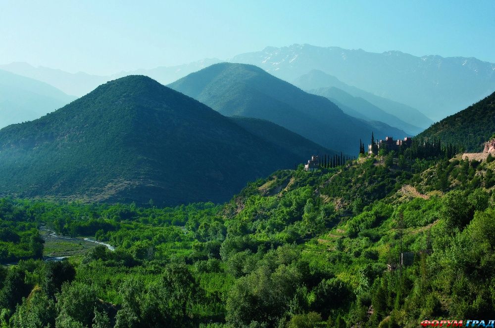 Дикая природа вблизи отеля Kasbah Tamadot