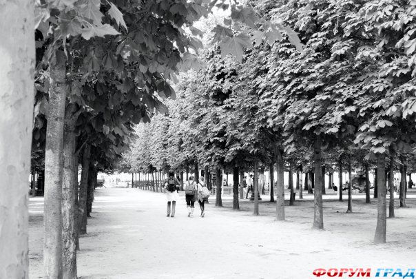 отчеты о путешествиях