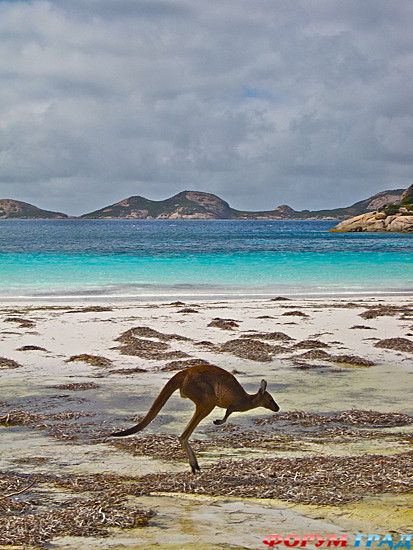 отчеты о путешествиях