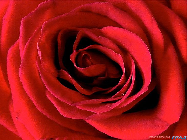 отчеты о путешествиях