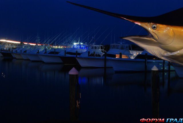 отчеты о путешествиях