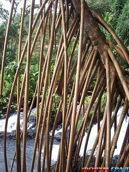 отчеты о путешествиях