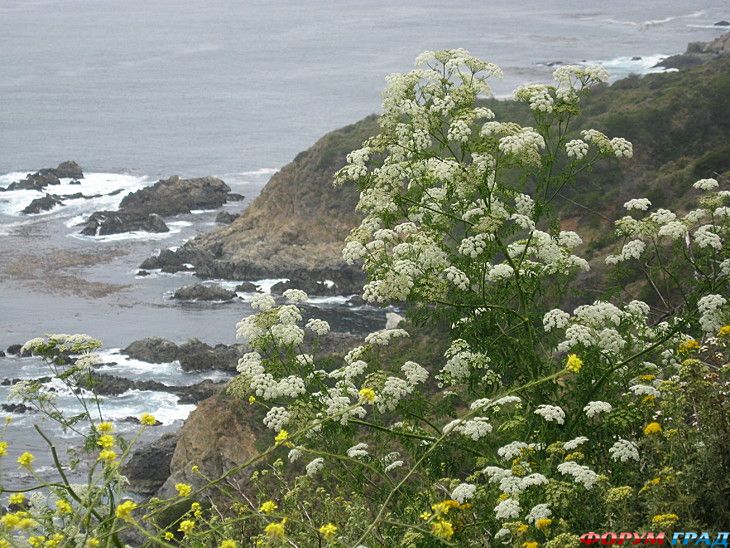 отчеты о путешествиях