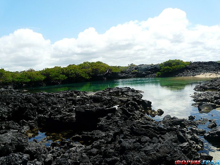 отчеты о путешествиях