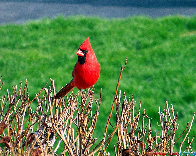 отчеты о путешествиях