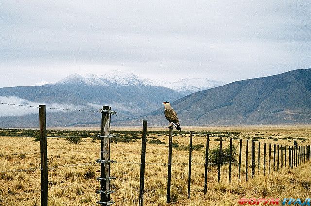отчеты о путешествиях