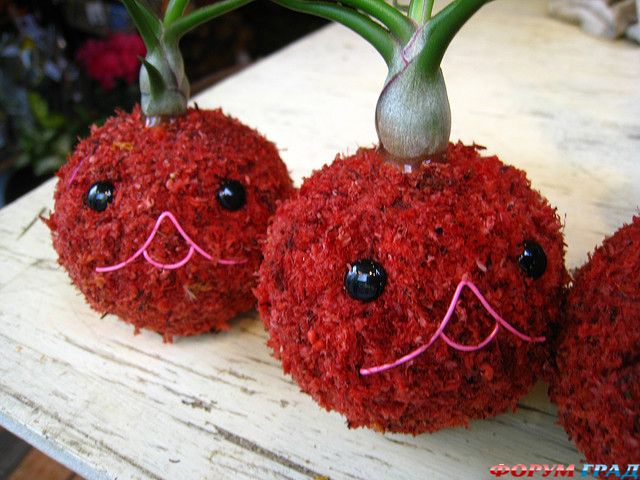 отчеты о путешествиях