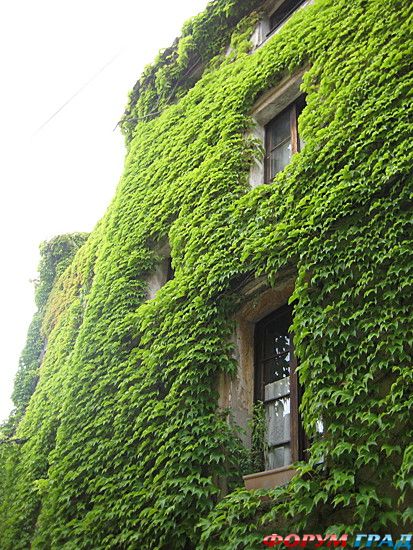 отчеты о путешествиях