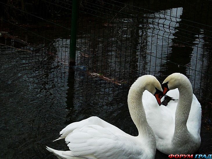 отчеты о путешествиях