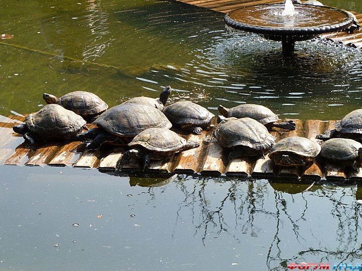 отчеты о путешествиях