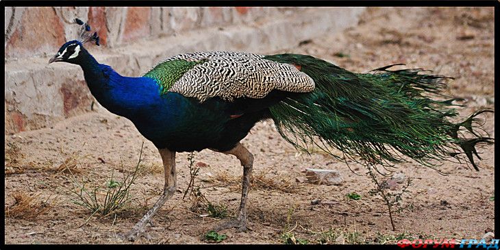 отчеты о путешествиях