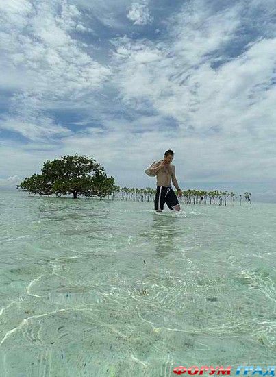 отчеты о путешествиях