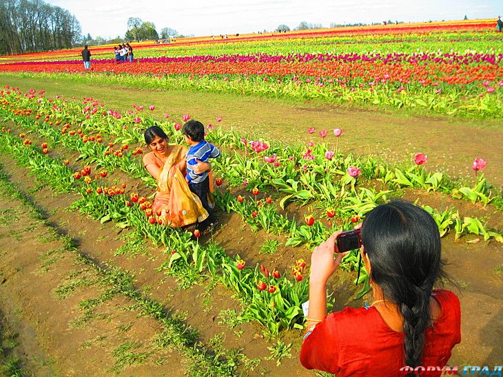отчеты о путешествиях