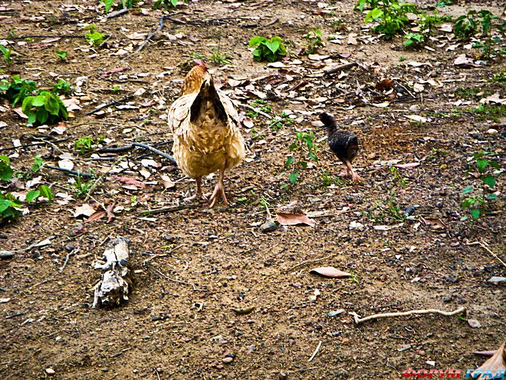 отчеты о путешествиях