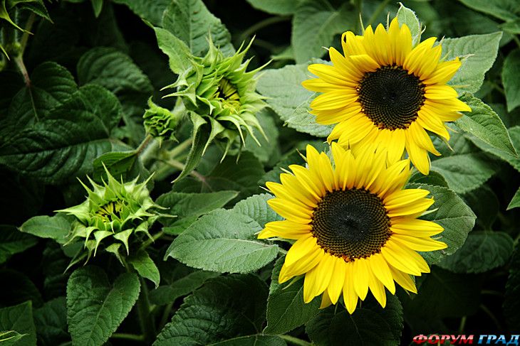 отчеты о путешествиях