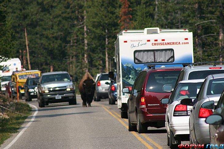 отчеты о путешествиях