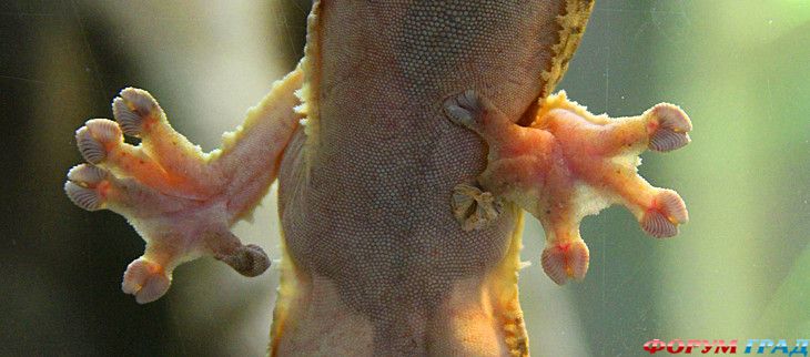 отчеты о путешествиях