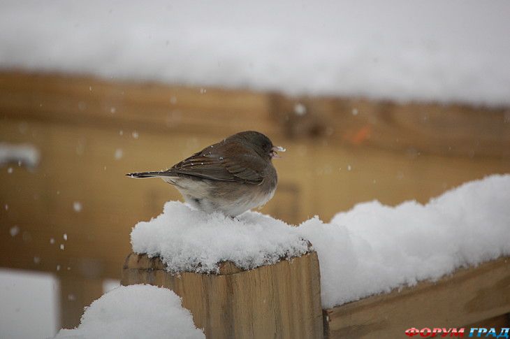 отчеты о путешествиях