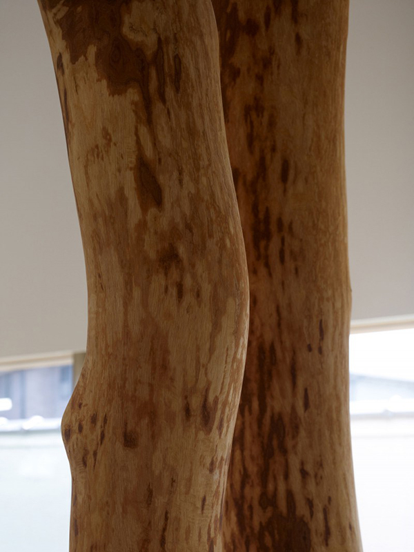 house-integrating-trees-06