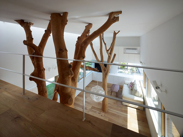 house-integrating-trees-19
