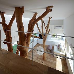 house-integrating-trees-19