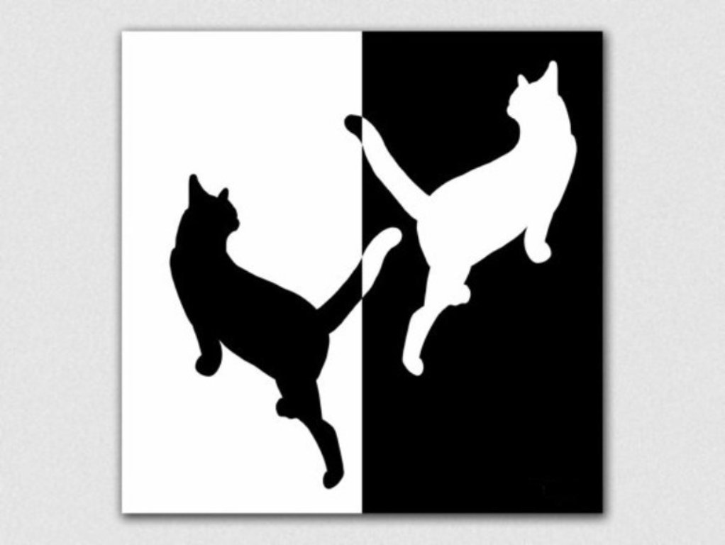 wall decor by Efrat Kkuper