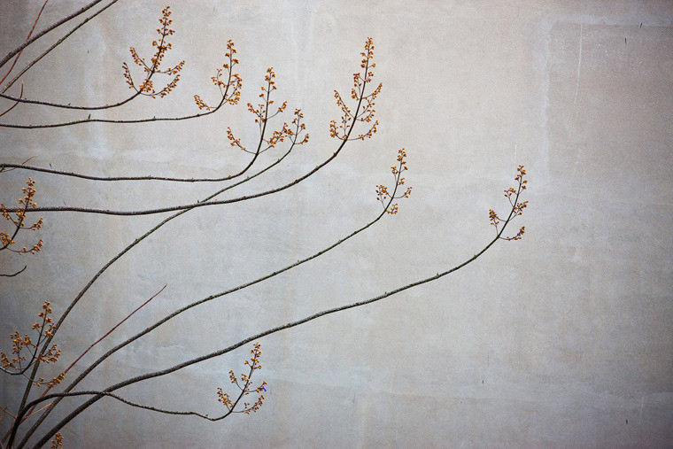 wall decor by Efrat Kkuper