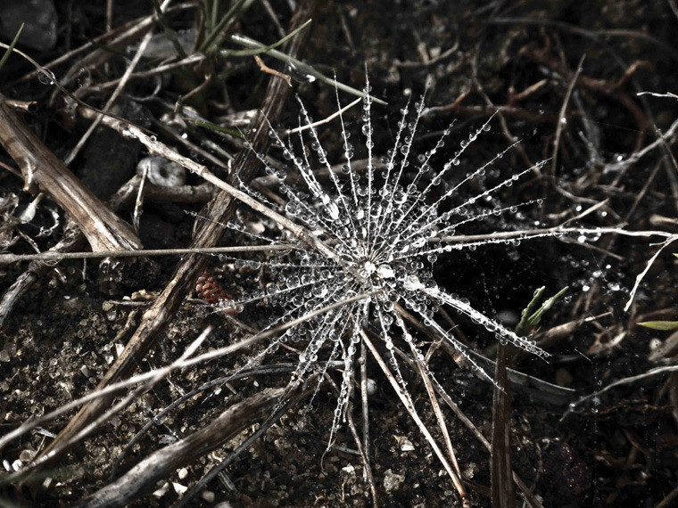 wall decor by Efrat Kkuper