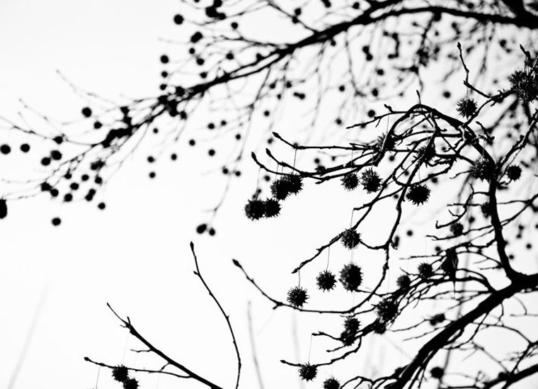 wall decor by Efrat Kkuper