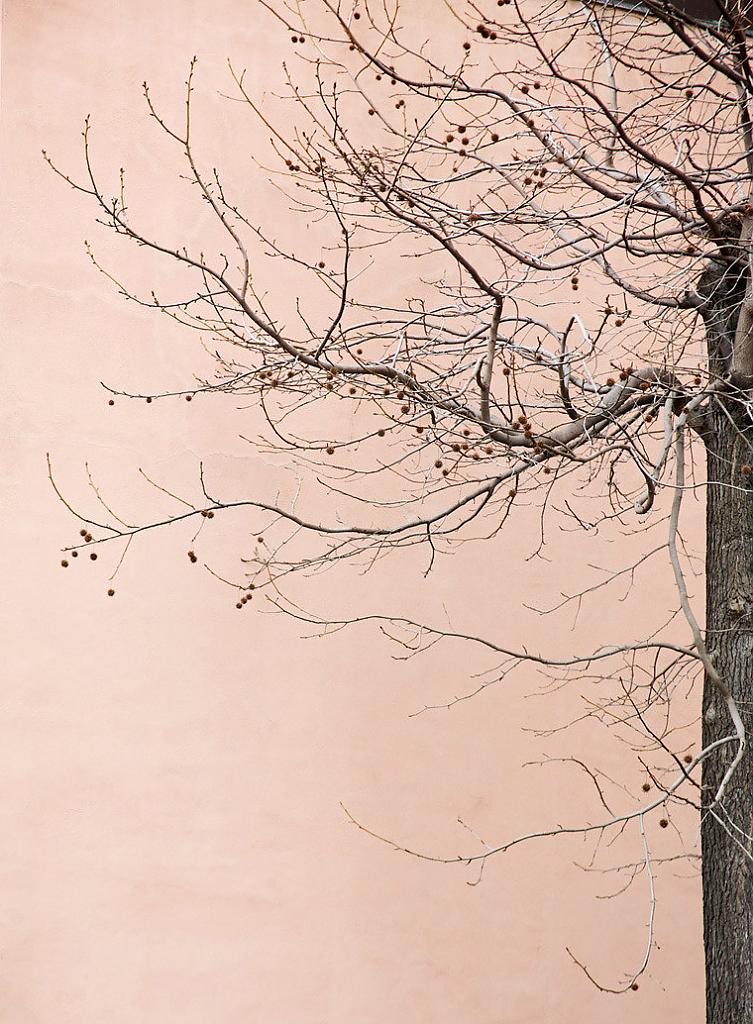 wall decor by Efrat Kkuper