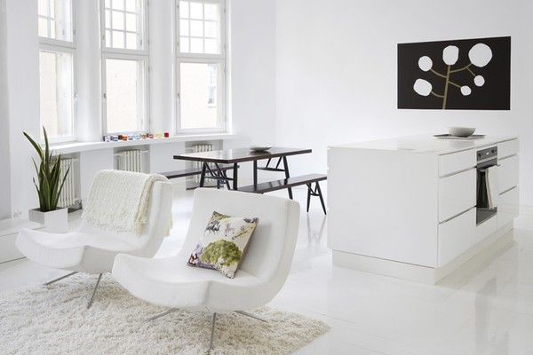 black-and-white-open-space-apartment-002