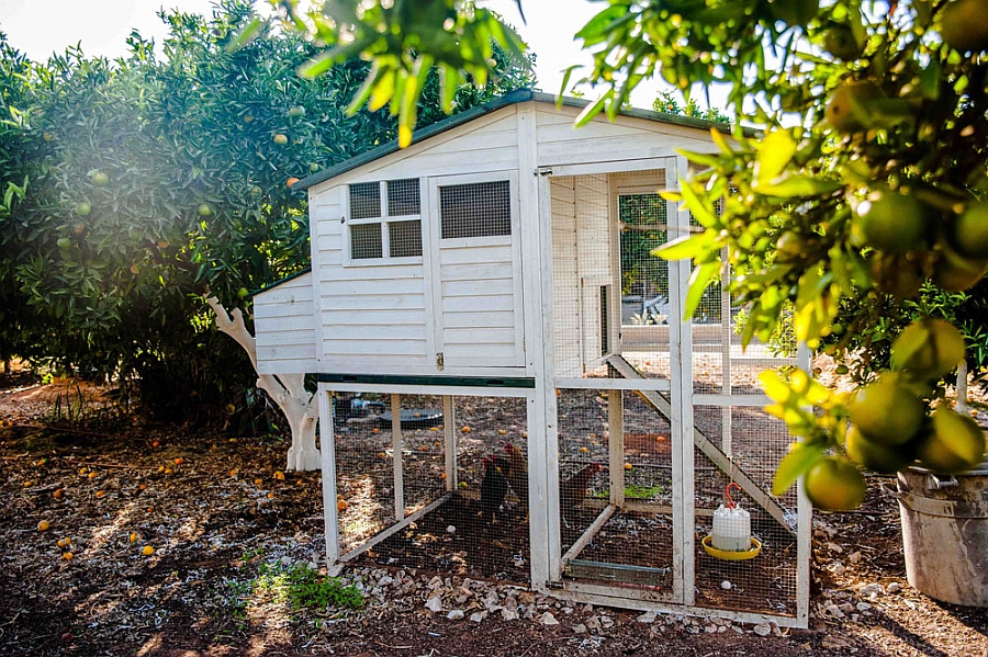 contemporary-family-house-010