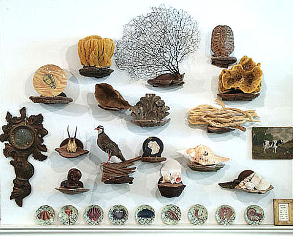 create-a-cabinet-of-curiosities-004