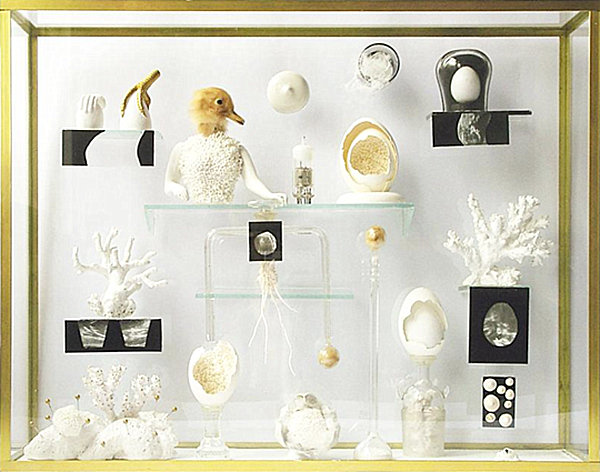 create-a-cabinet-of-curiosities-005