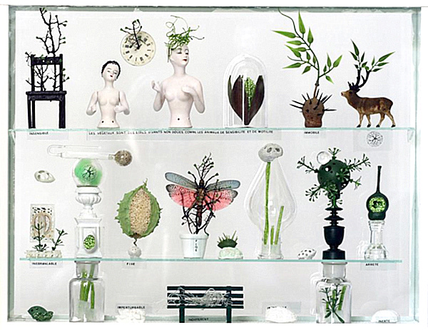 create-a-cabinet-of-curiosities-006