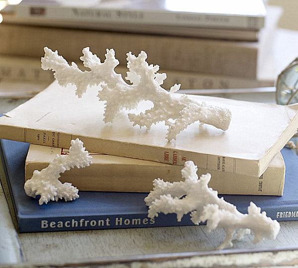 create-a-cabinet-of-curiosities-009