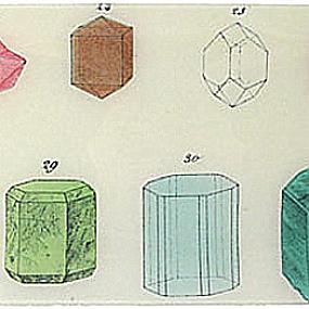 create-a-cabinet-of-curiosities-010