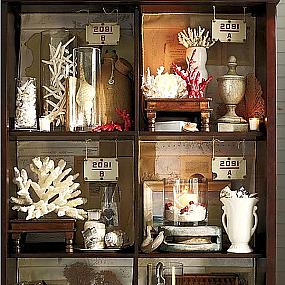 create-a-cabinet-of-curiosities-013