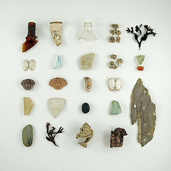 create-a-cabinet-of-curiosities-014