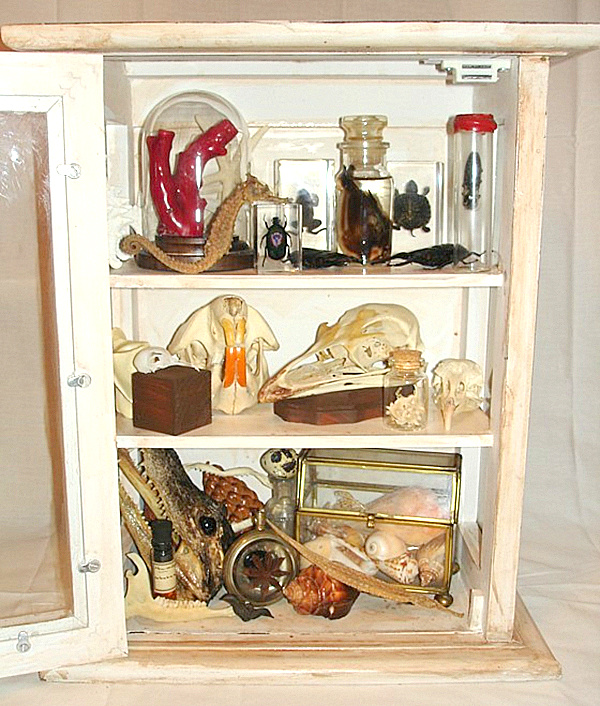 create-a-cabinet-of-curiosities-015