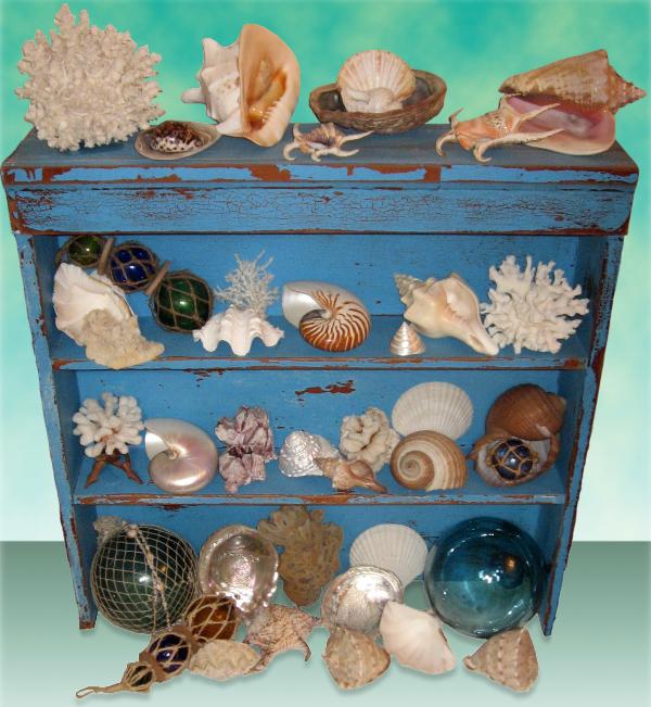 create-a-cabinet-of-curiosities-017
