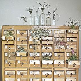 create-a-cabinet-of-curiosities-020