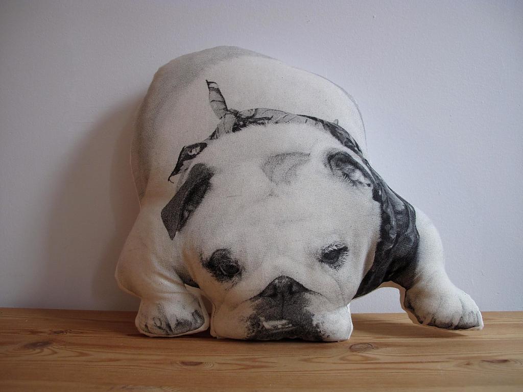 design-pillows-by-shannon broder-02