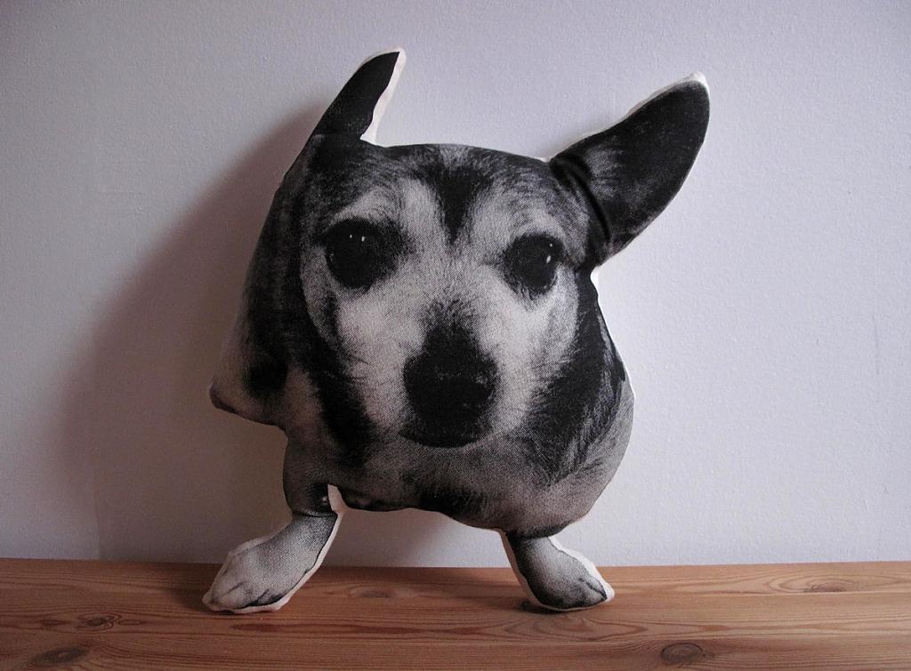 design-pillows-by-shannon broder-05