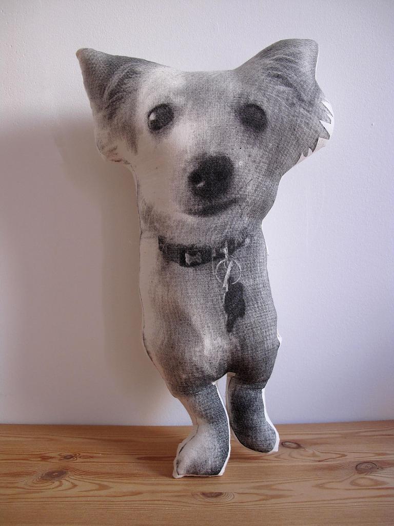 design-pillows-by-shannon broder-13