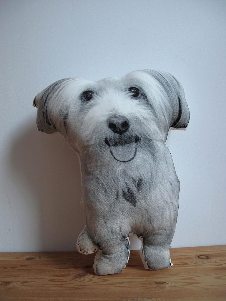 design-pillows-by-shannon broder-16