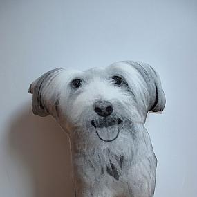 design-pillows-by-shannon broder-16