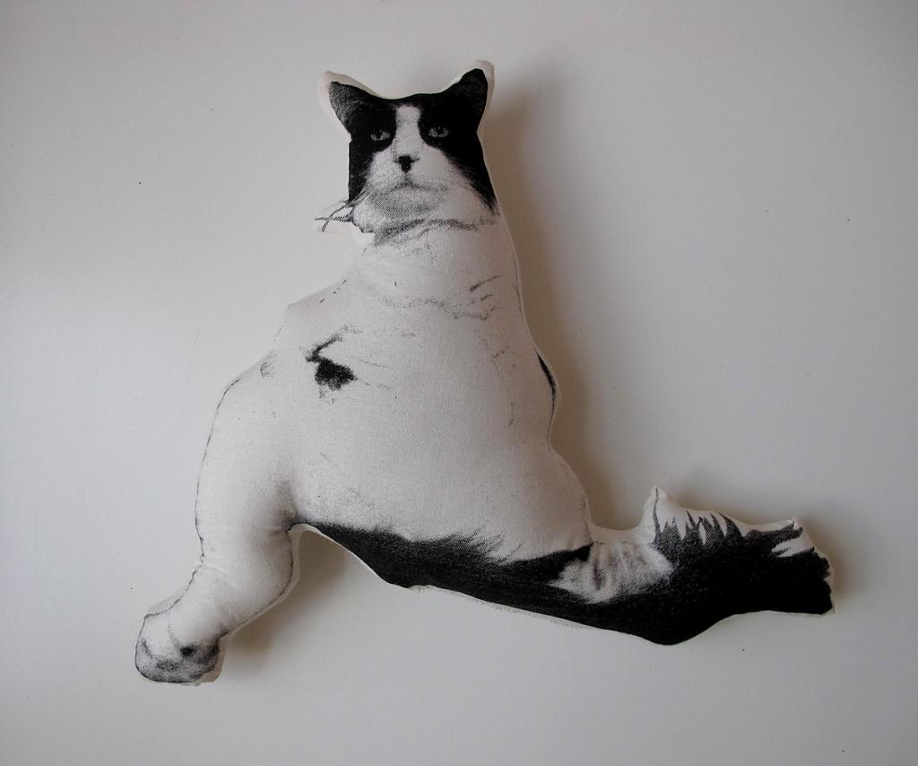 design-pillows-by-shannon broder-19
