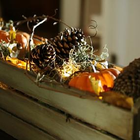 diy-ideas-thanksgiving-12