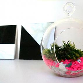 easy-centerpiece-ideas-plants-008